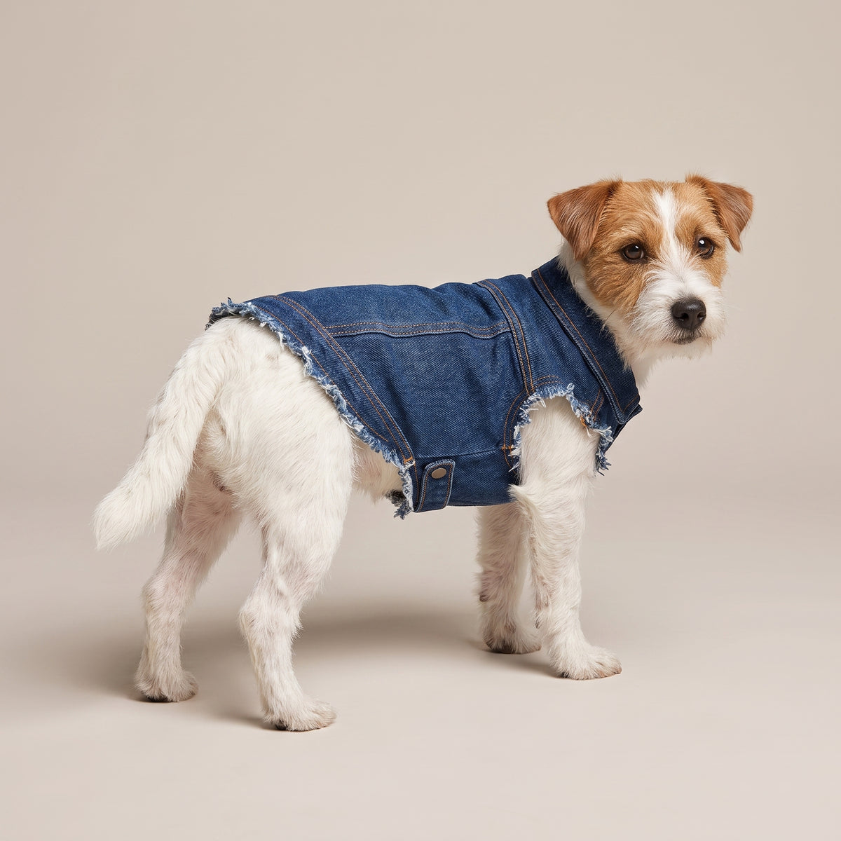 Denimjakke til Hund med Eget Tryk | Hundejakke