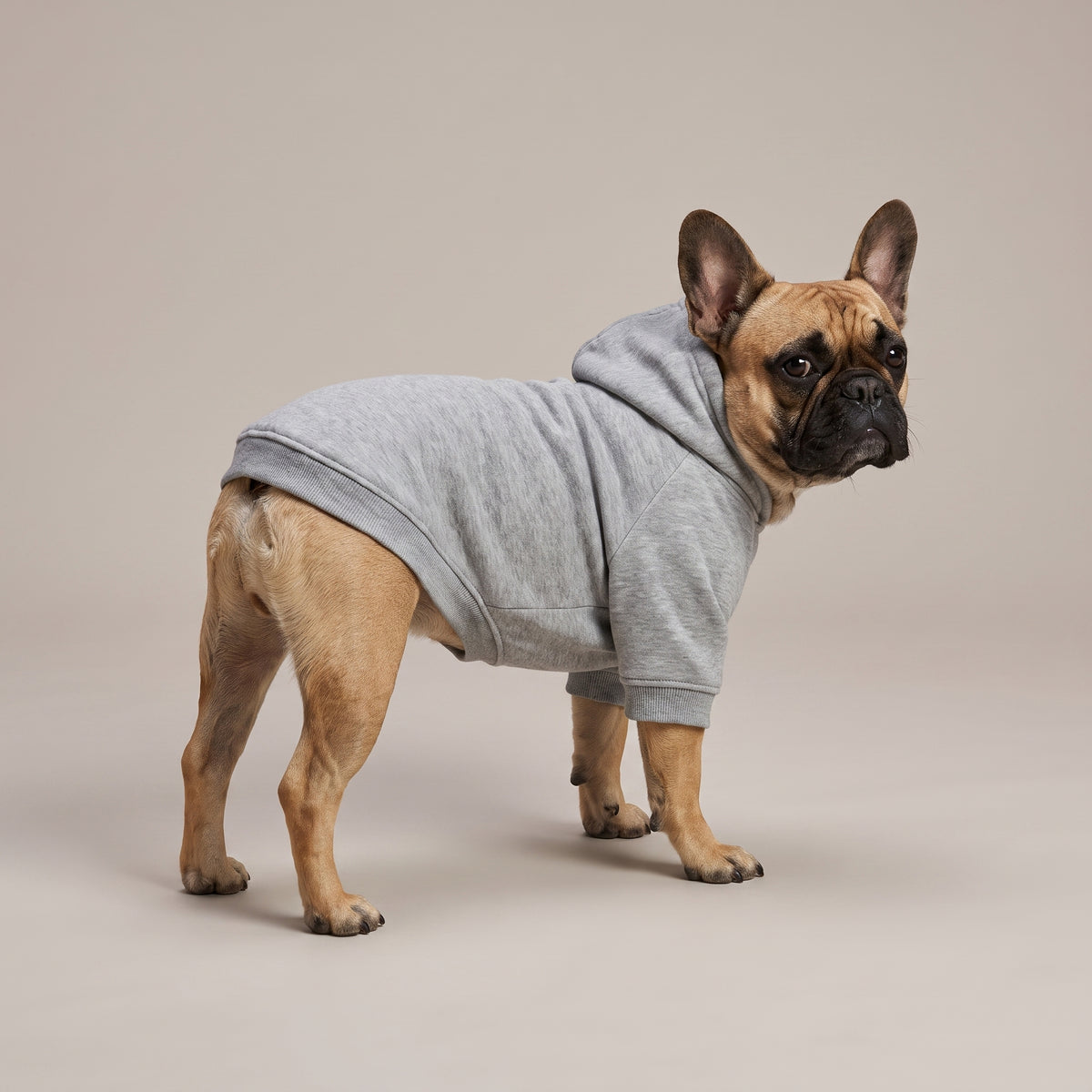 Hættetrøje til Hund med Eget Tryk | Fleece Hoodie til Hund