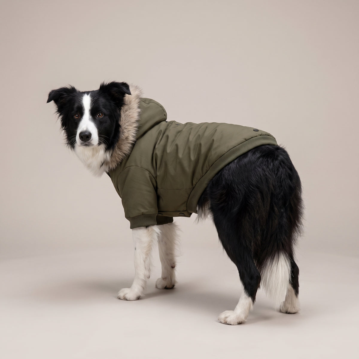 Varm Parkas til Hund med Eget Tryk | Vinterjakke til Hund